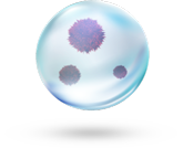 Biolo&scaron;ki aerosoli: 9 mikrona