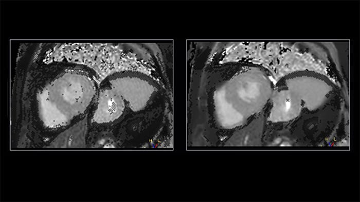 Clinical images figure 3